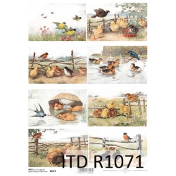 Papier ryżowy A4 R1071